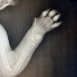 مرکز تخصصی جراحی حیوانات خانگی