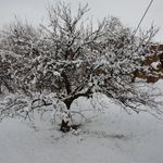 آتلیه و لابراتوار عکس و فیلم پژوه