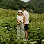 استودیو مانل