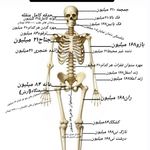 وکیل پایه یک دادگستری و مشاور حقوقی