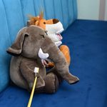 کلینیک دندانپزشکی کودکان فاطمه کدخدایی