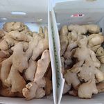 میوه فروشی اقلید یزدانی