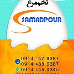 بازرگانی تخم مرغ سی دُرّ