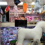 شازده کوچولو