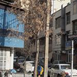 عینک بیدار شعبه 2