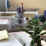 مرکز مشاوره رویش نو