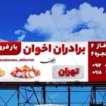 بارفروشی فراهم قاسمی