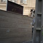 کلینیک دامپزشکی اکو