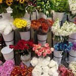 گلفروشی و تشریفات چیچک
