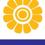 نمایندگی بیمه پاسارگارد معصومه امینی