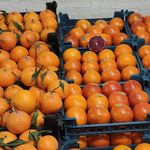 سبزی فروشی
