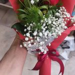 گل فروشی باهار