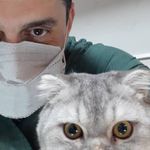 کلینیک دامپزشکی دکتر سهرابی