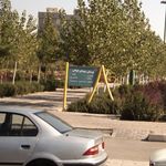 پارک جنگلی 4850