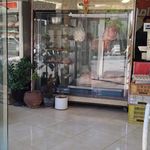 دامداری دام مدرن پخش گوسفند زنده و گوشت