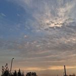درب اصلی دانشگاه شاهد