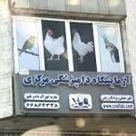 دامپزشکی
