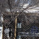 بیمه اسیا