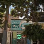 دارو گیاهی