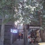 رادیولوژی وسونوگرافی قائمی