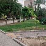 بوستان امیر