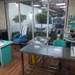 کلینیک تخصصی دامپزشکی پاندا