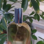 عطر گودفیوم