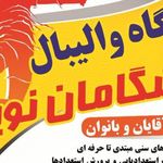 باشگاه والیبال پیشگامان نوین