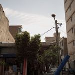 موکت ابرا