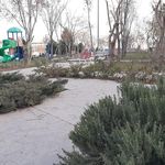 پارک