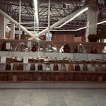 گیاهان دارویی شلیرا