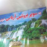 سوپر پروتئین اریایی
