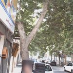 تعویض روغنی مهدی