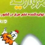 مرغداری مشیرابادی