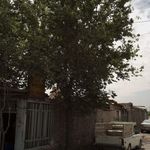 سرای سنتی پهلوانان