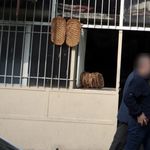 نانوایی بربری