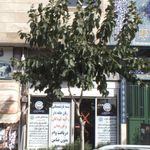 بیمه ایران نمایندگی عرب کد 5278