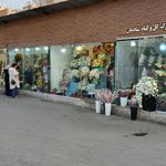 گلفروشی اِلما
