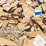 مجتمع کارتن رکورد
