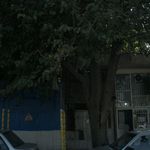 نانوایی تافتون