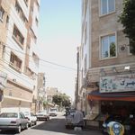میوه فروشی چنارلی