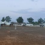 باشگاه سوارکاری زنده رود