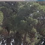 مدرسه دخترانه فنی حرفه ای