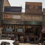 گیاهان دارویی یاس