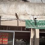 نانوایی