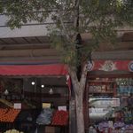 میوه فروشی