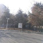 بوستان بلوط