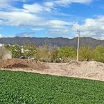 سبزی فروشی زارع