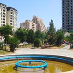 بوستان فادیا
