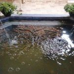 اشپز خانه بیرون بر